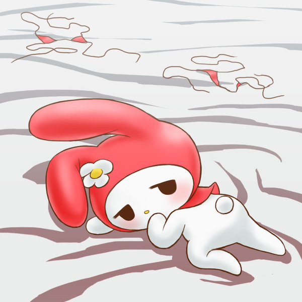 로리터 이미지